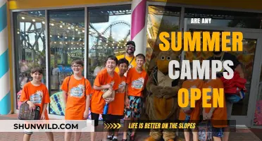 Are Summer Camps Open This Year? Find Out Now!