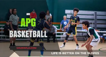 The Evolution of Basketball: Are APG Important?