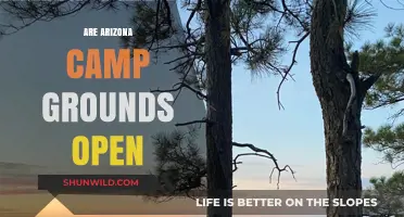 Arizona Campgrounds: Current Open Status and Updates for Campers