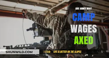 Army Boot Camp Wages Slashed: What It Means for Recruits