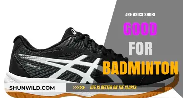 ASICS Badminton Shoes: Worth the Hype?
