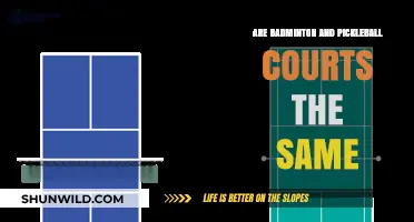 Court Confusion: Badminton vs Pickleball