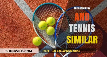 Racketsports: Badminton and Tennis, Similar?