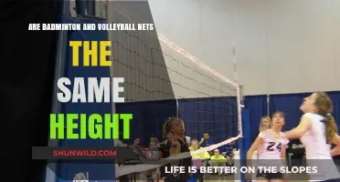 What's the Net Height Difference in Badminton and Volleyball?