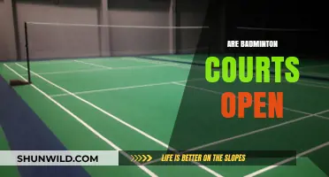 Badminton Courts: Open or Closed?