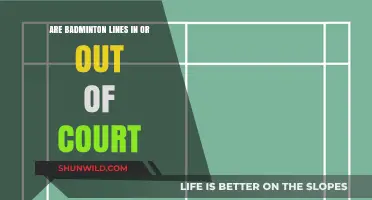 Badminton Court Lines: In or Out?