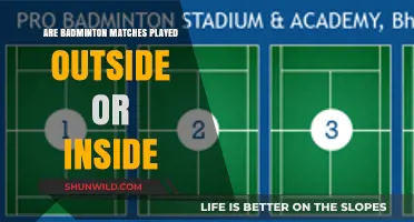 Where Badminton Matches Are Played