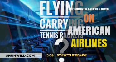 Badminton Gear: American Airlines' Policy Explained