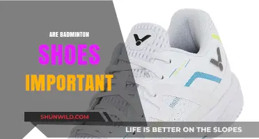 Badminton Shoes: Essential Equipment or Unnecessary Expense?