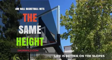 Ball Basketball Nets: Same Height, Different Game