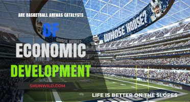 Basketball Arenas: Economic Development Catalysts?