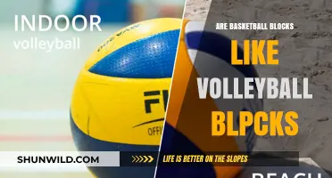 Basketball vs Volleyball Blocks: Similarities and Differences