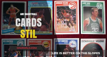 The Future of Basketball Cards: Are They Still Valuable?