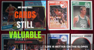 Basketball Cards: Are They Still Worth Collecting?