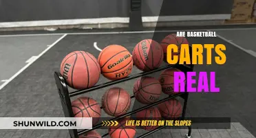 Basketball Cards: A Real Investment or Just Hype?