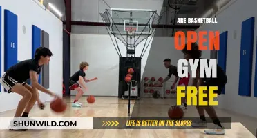 Open Gyms: Are They Free to Play Basketball?