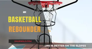 Basketball Rebounders: How They Help Your Game