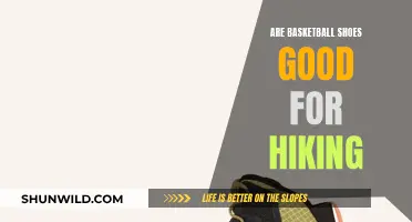 Basketball Shoes: Suitable Hiking Gear?