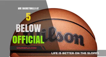 Basketballs: Are 5 Below Balls Official?