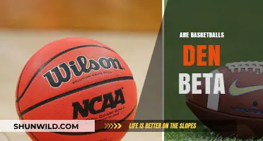 The Evolution of Basketballs: Are They Better Now?