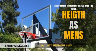 The Standardized Height of Basketball Hoops for Men and Women