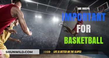 Biceps in Basketball: Are They Necessary?