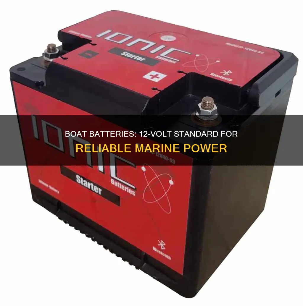 are boat batteries 12 volt