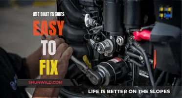 Boat Engine Maintenance: Easy or Expert Task?