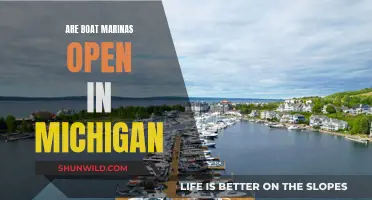 Boat Marinas in Michigan: Open for Business?