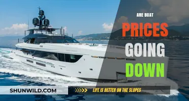 Navigating the Market: Are Boat Prices Dropping?