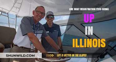 Boat Registration Fees in Illinois: What's the New Cost?