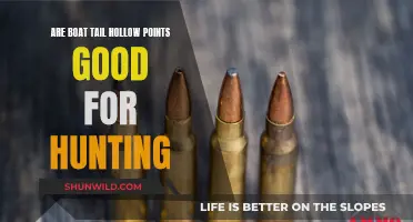 Boat-Tail Hollow Points: Hunting's Best Friend?