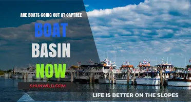 Captree Boat Basin: Current Boat Availability and Updates