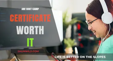 Are Boot Camp Certificates Worth It? Pros, Cons, and ROI