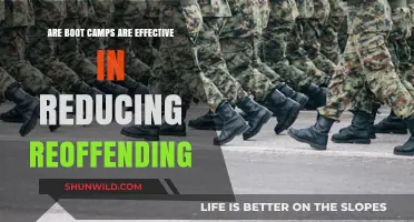 Do Boot Camps Effectively Reduce Reoffending Rates? A Critical Analysis
