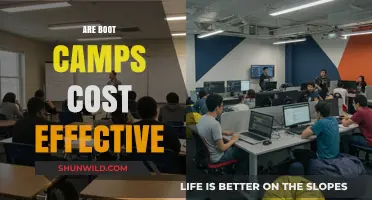 Are Boot Camps Cost-Effective? Evaluating ROI for Career Acceleration