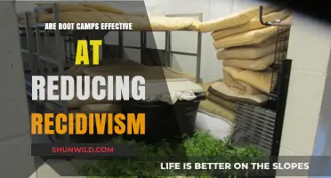 Do Boot Camps Effectively Reduce Recidivism Rates? A Critical Analysis