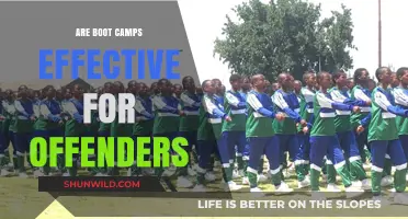 Do Boot Camps Effectively Rehabilitate Offenders? Evidence and Insights