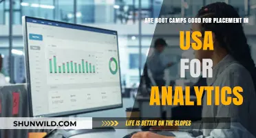 Are Analytics Boot Camps Effective for Job Placement in the USA?