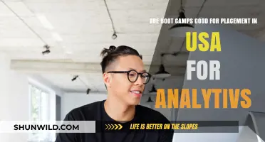 Do Analytics Boot Camps Boost Job Placement in the USA?
