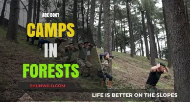 Forest Boot Camps: Effective Outdoor Fitness or Just a Trend?