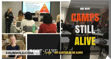 Are Boot Camps Still Relevant in Today's Tech Learning Landscape?