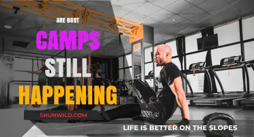 Are Boot Camps Still Relevant in Today's Fitness Landscape?