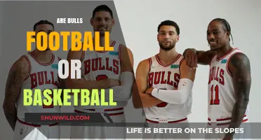 Bulls: Basketball or Football? A Comparison