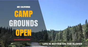 Are California Campgrounds Open? Current Status and Updates for Campers