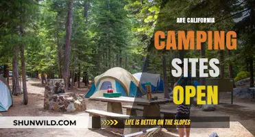 Are California Camping Sites Open? Current Status and Updates