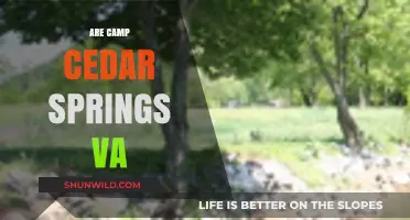 Exploring Camp Cedar Springs VA: A Hidden Gem in Virginia