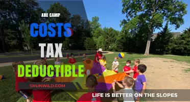 Are Summer Camp Costs Tax Deductible? What Parents Need to Know