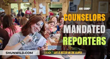 Are Camp Counselors Mandated Reporters? Understanding Legal Responsibilities