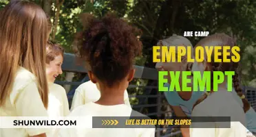 Are Camp Employees Exempt from Overtime Pay? Legal Insights